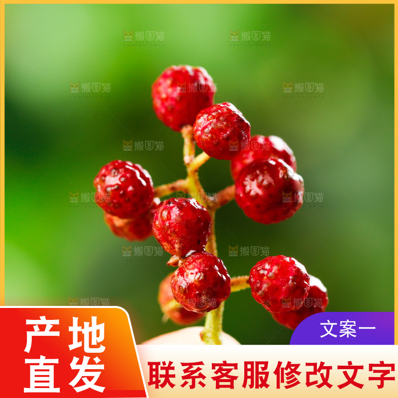 手拿新鲜花椒