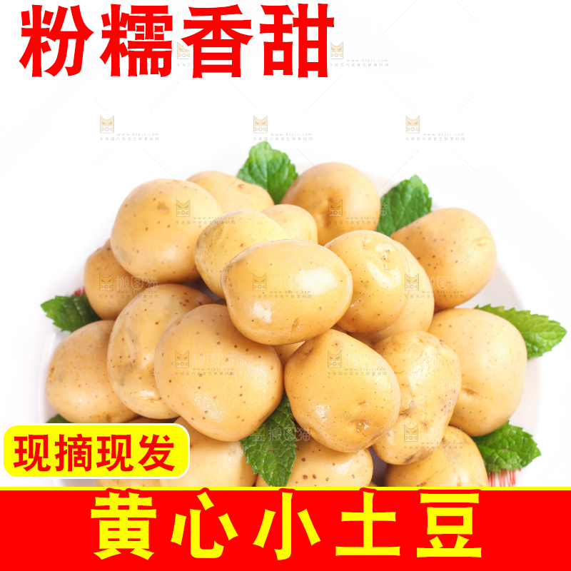 白底上放着一盘小土豆