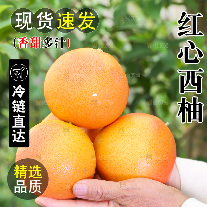 手里拿着南非红心西柚