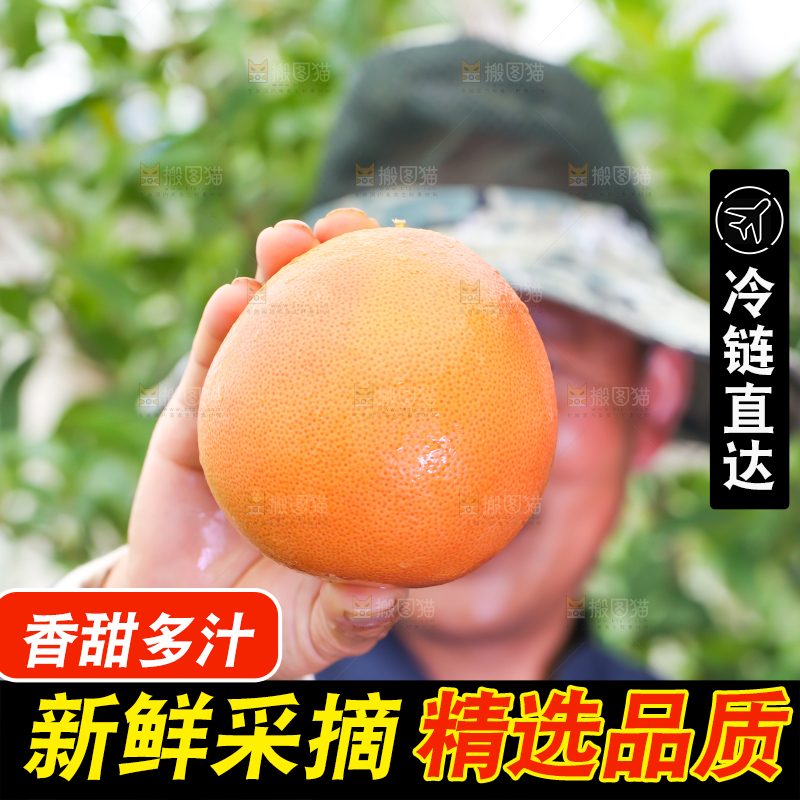 农民手里拿着南非西柚