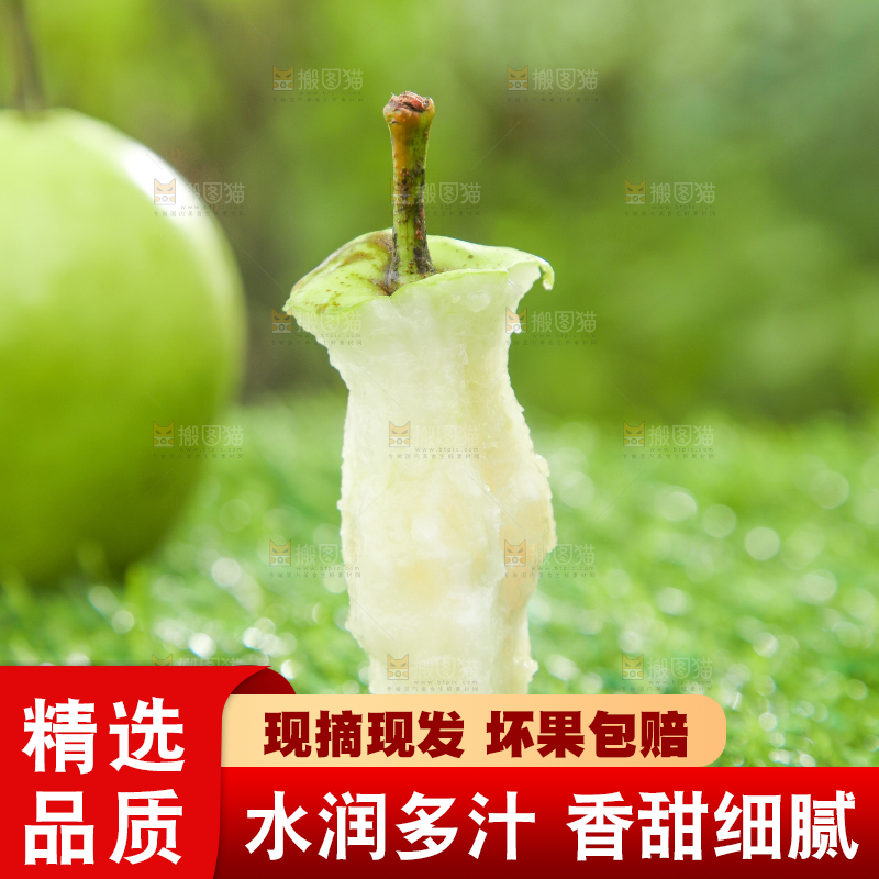 草地上放着早酥梨果核