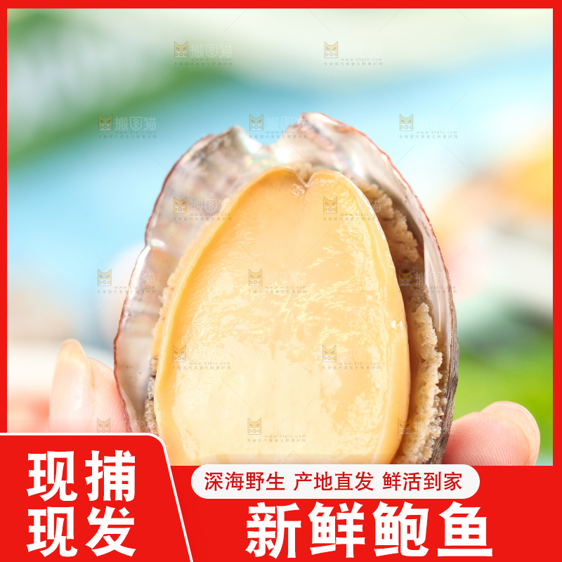 手拿鲍鱼