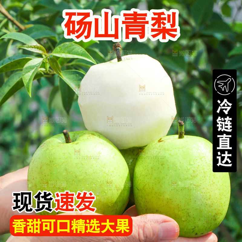 手捧着青皇冠苹果梨
