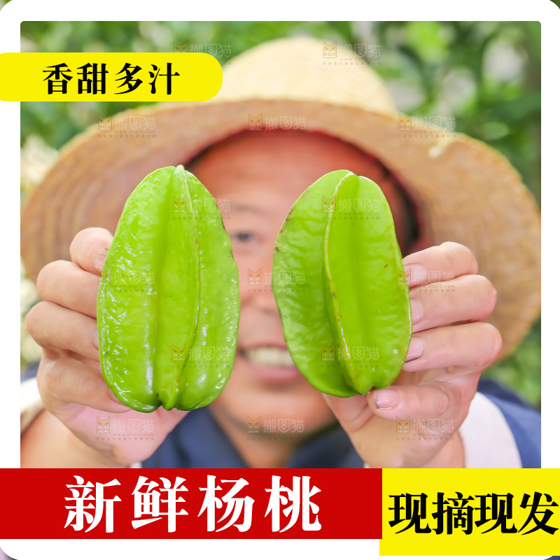 农民手里拿着青皮杨桃