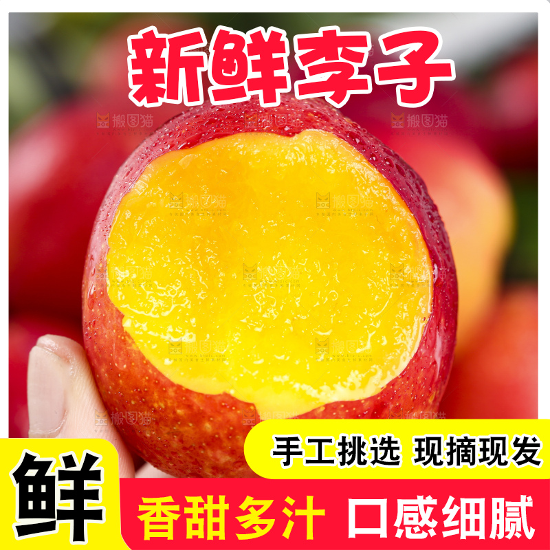 手拿珍珠李