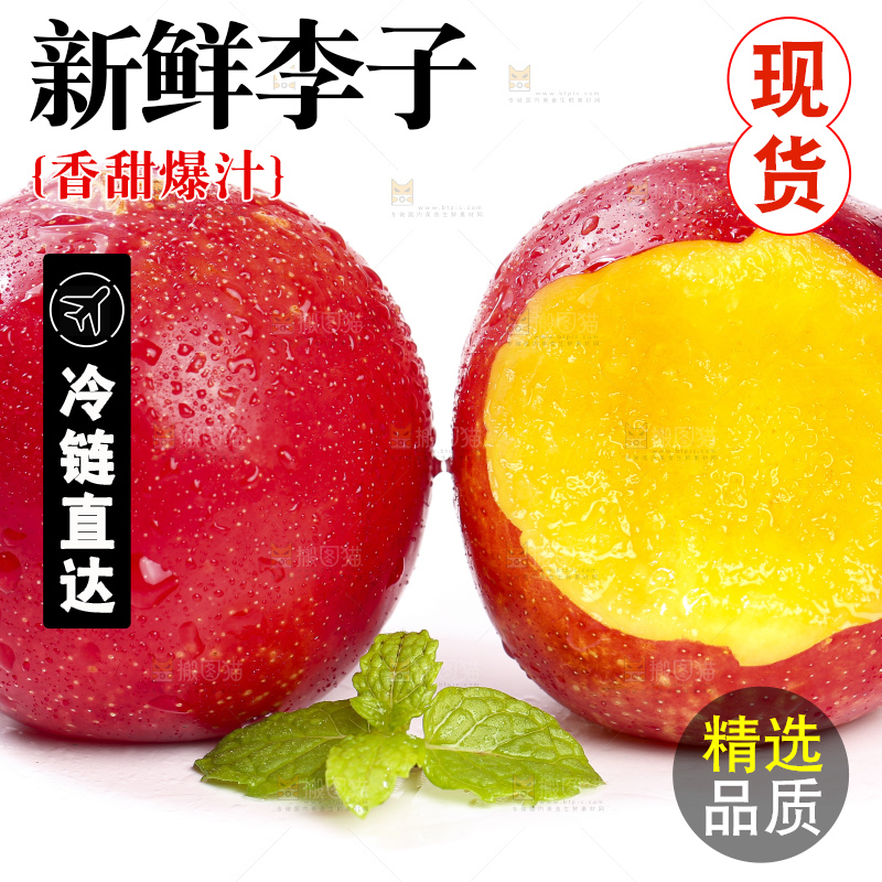白底上的智利珍珠李