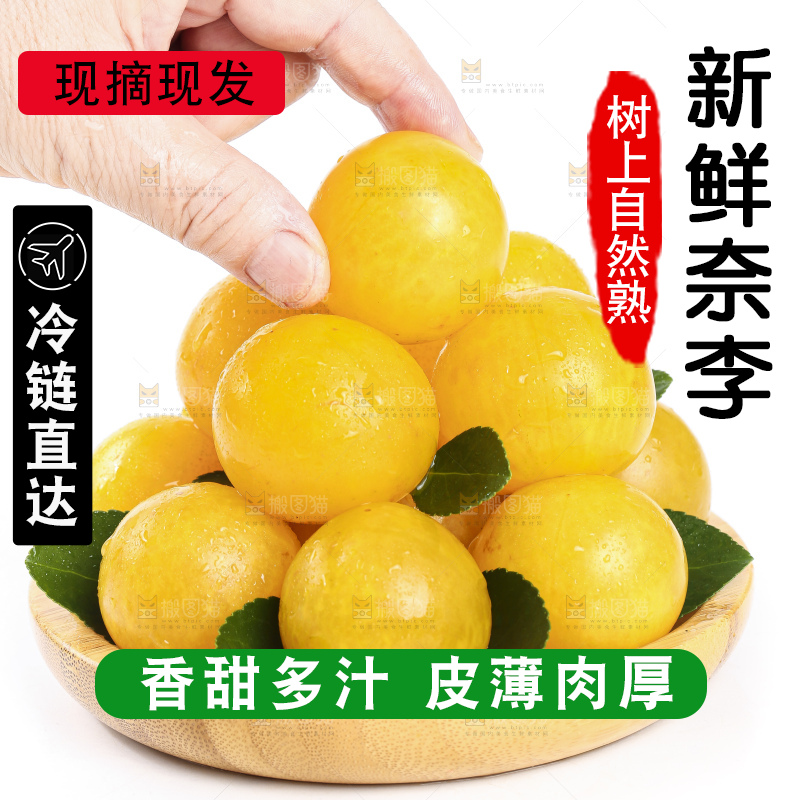 手拿黄金奈李