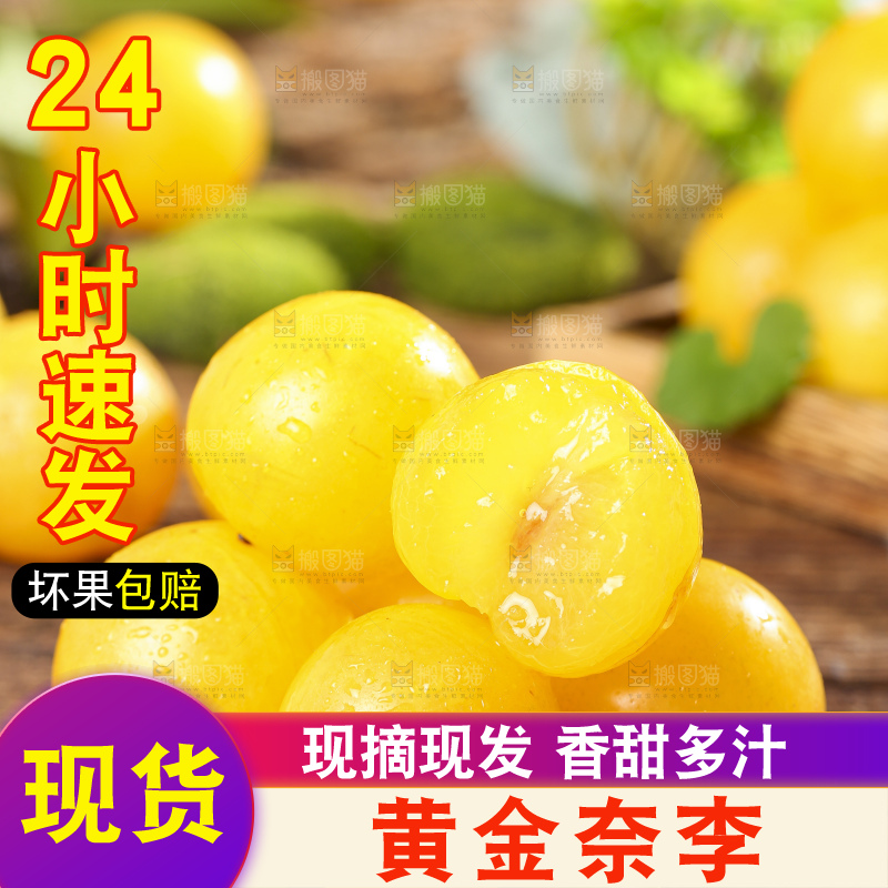 黑石板上放着一堆九峰山黄金奈李