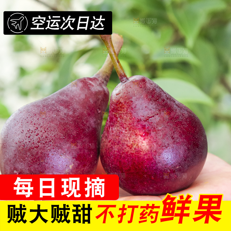 手拿红啤梨
