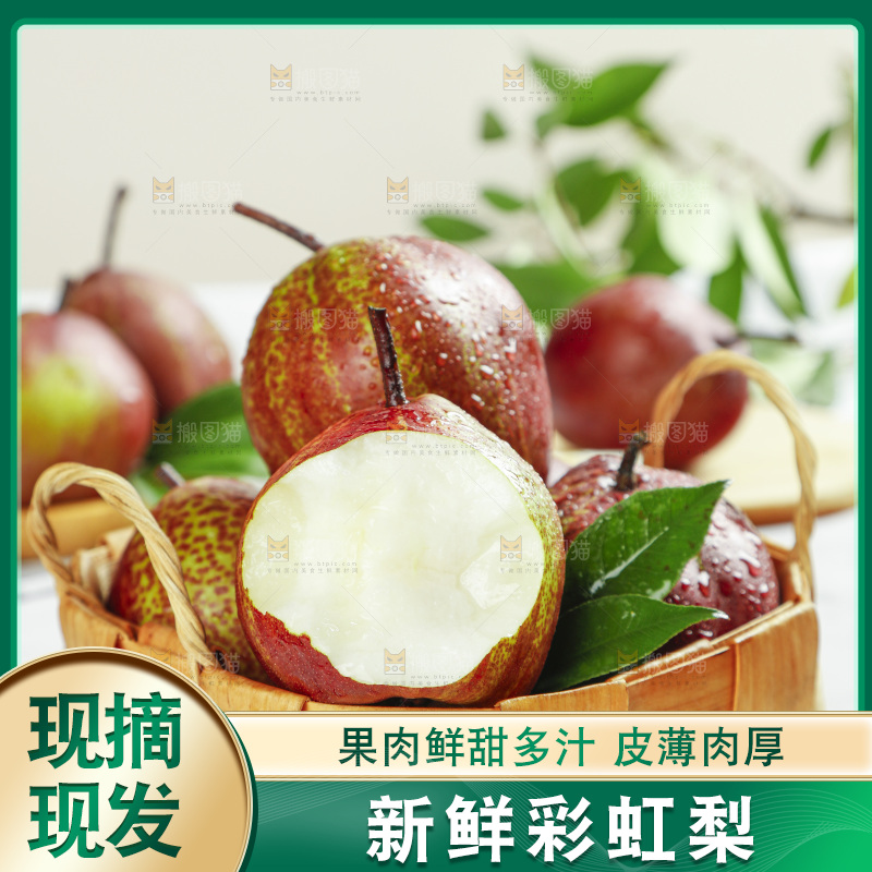 浅底上的陕西彩虹梨