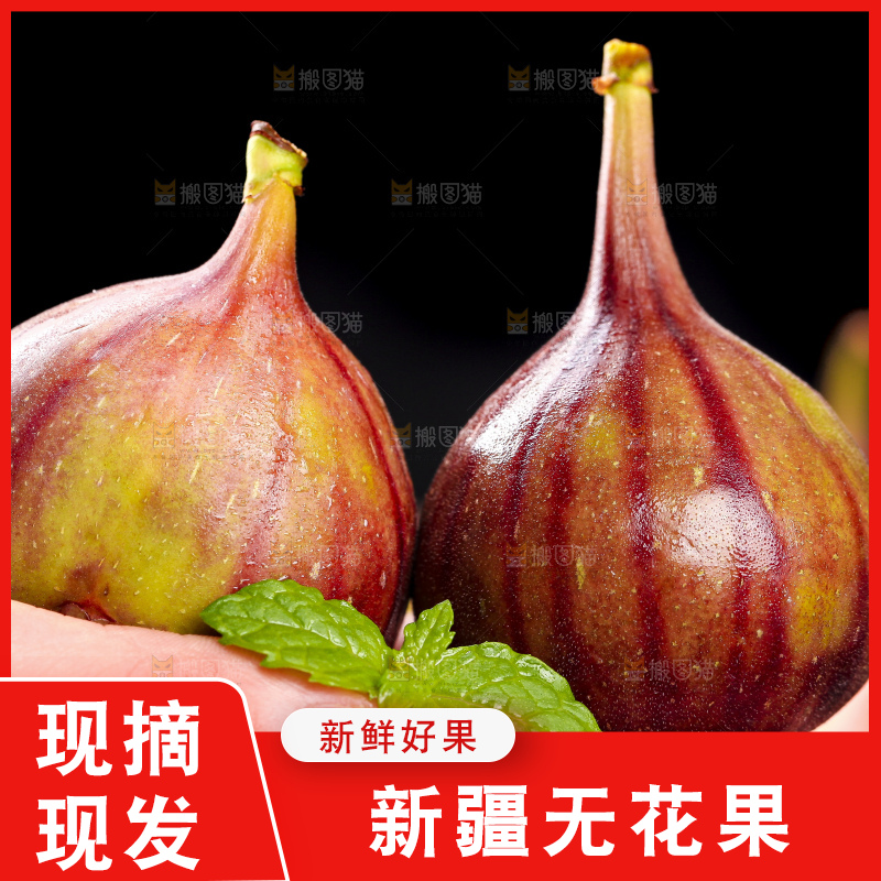手拿无花果