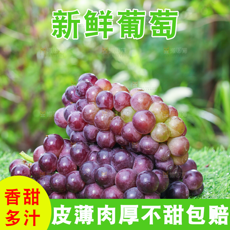草地上的新鲜葡萄