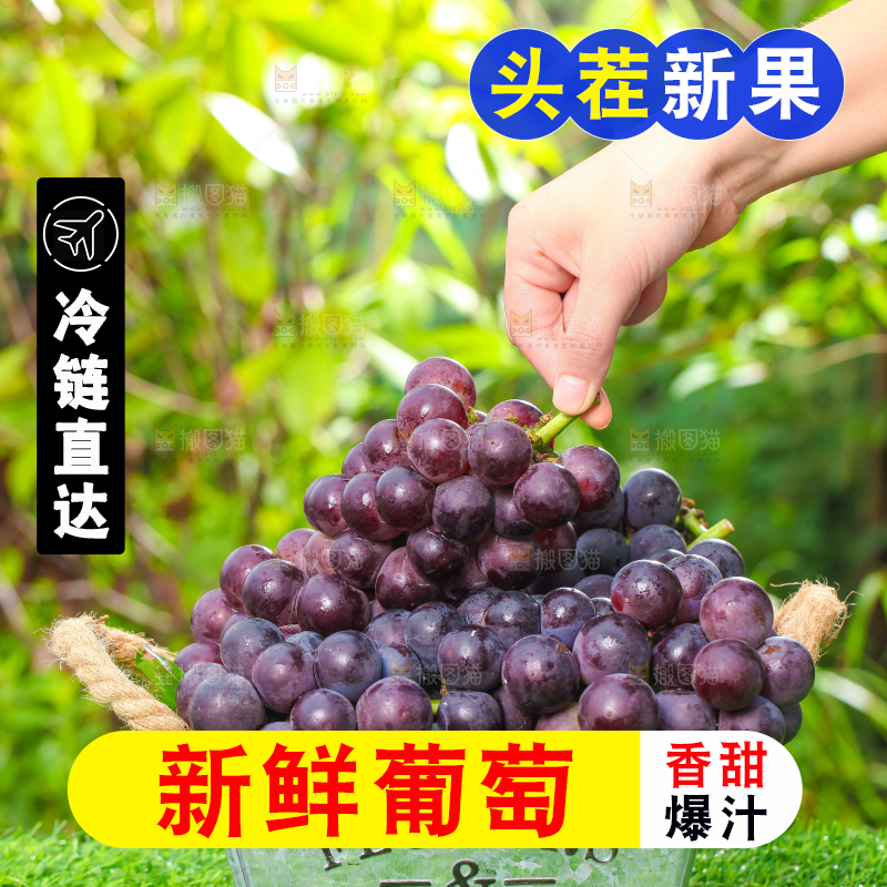 草地上放着一筐巨峰葡萄