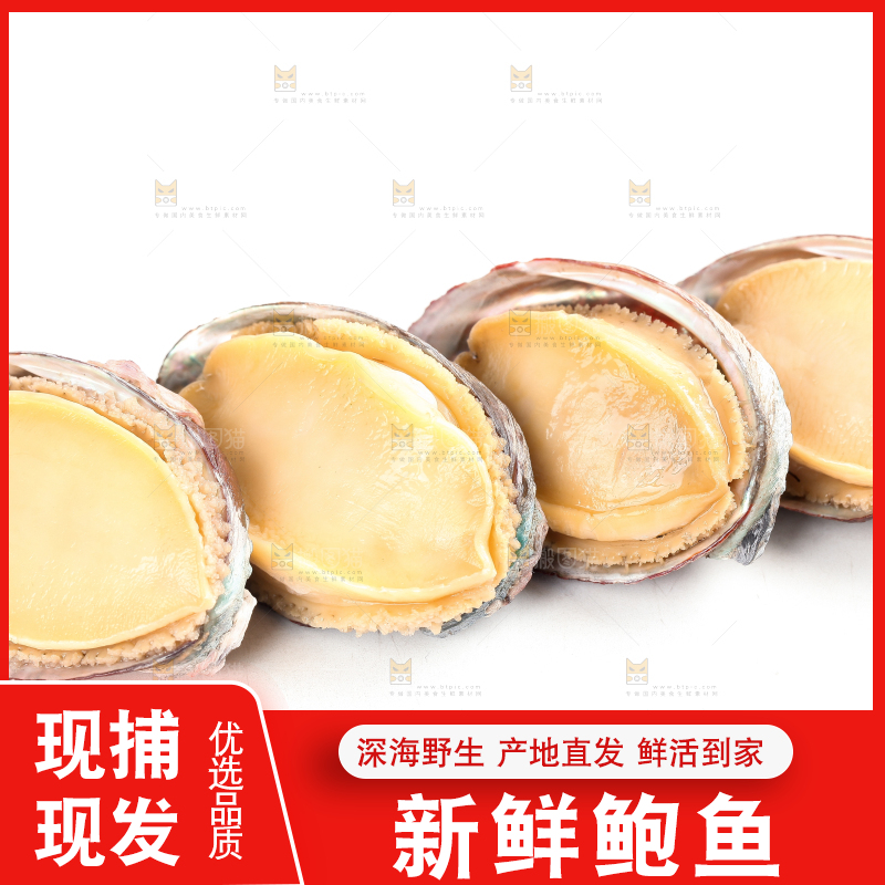 白底上放着新鲜剥开的活动大鲍鱼