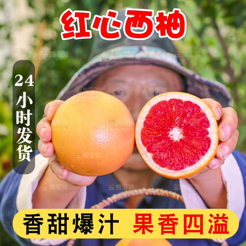 农民手里拿着红心西柚