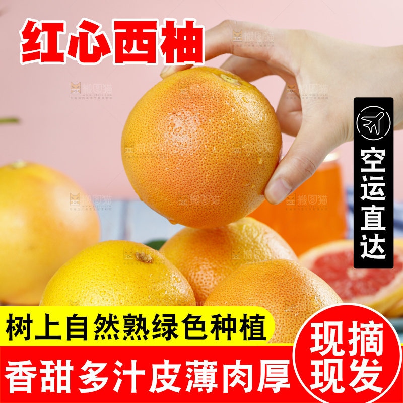手拿红心西柚