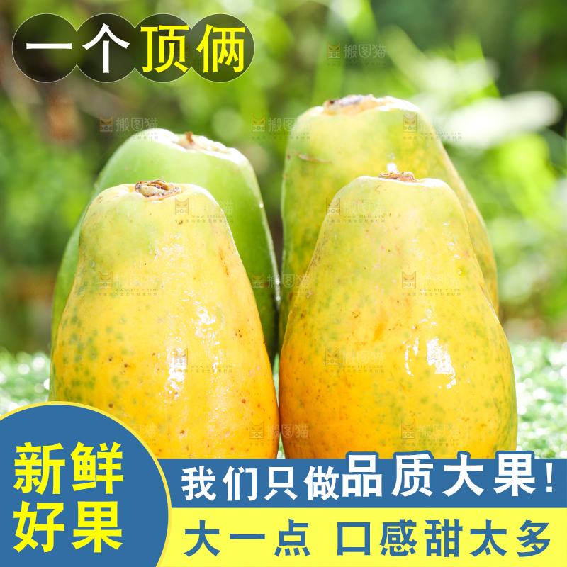 草地上放着木瓜