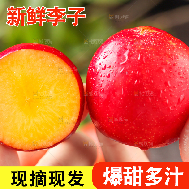 手拿切开的珍珠李