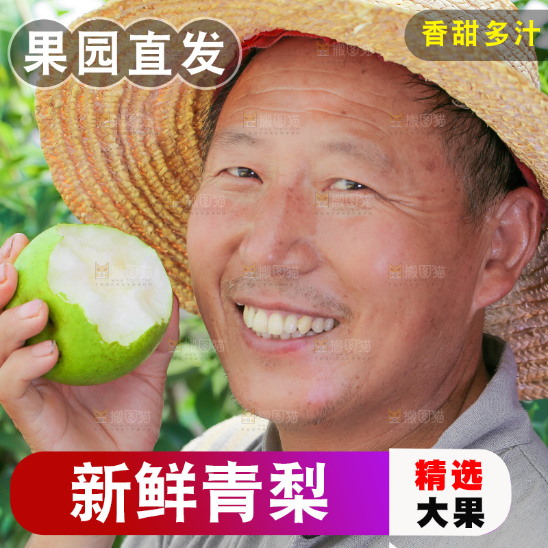 农民手里拿着青皮梨