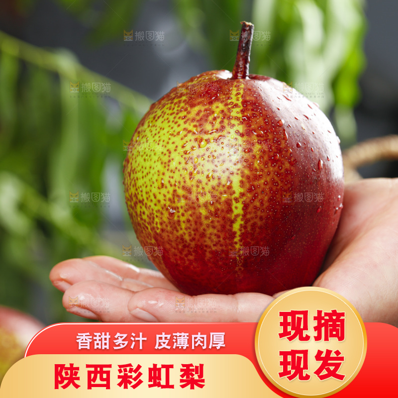 手拿彩虹香梨
