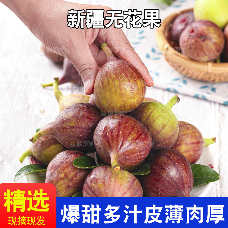 手拿紫皮无花果