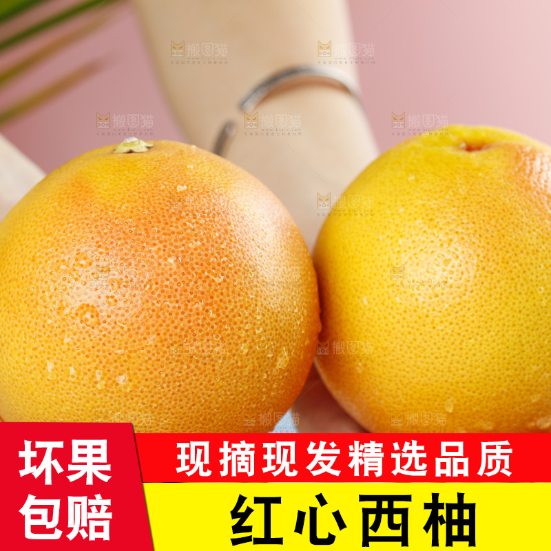 手拿红心西柚