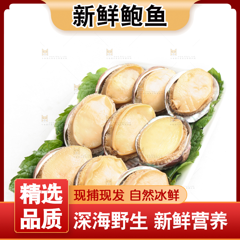 白底上放着新鲜剥开的活动大鲍鱼