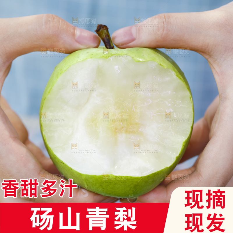 手拿的砀山青皮皇冠梨