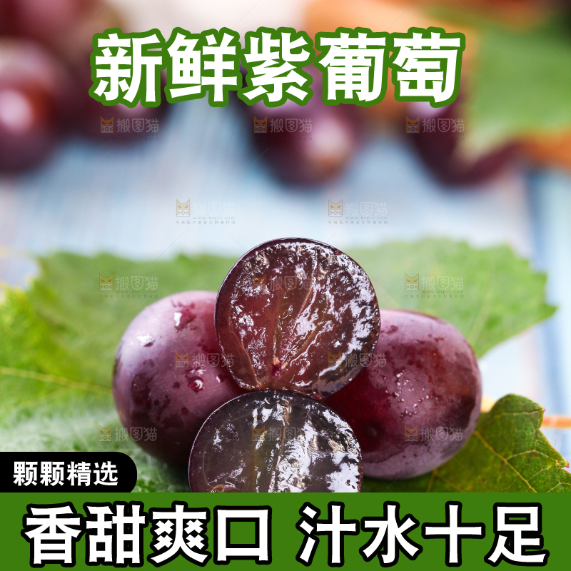 树叶上的巨峰葡萄