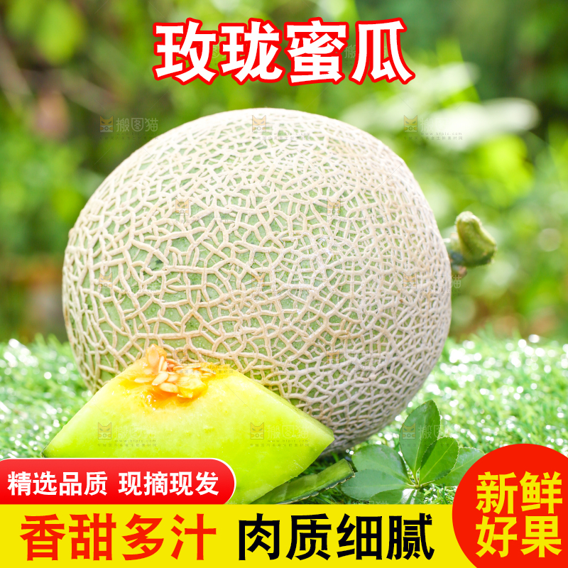 草地上放着切开的网纹蜜瓜