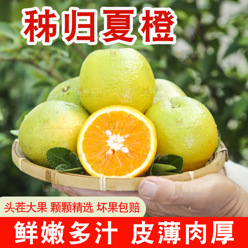 上手拿一筐夏橙