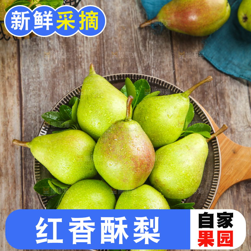 木底上放着一筐红香酥梨
