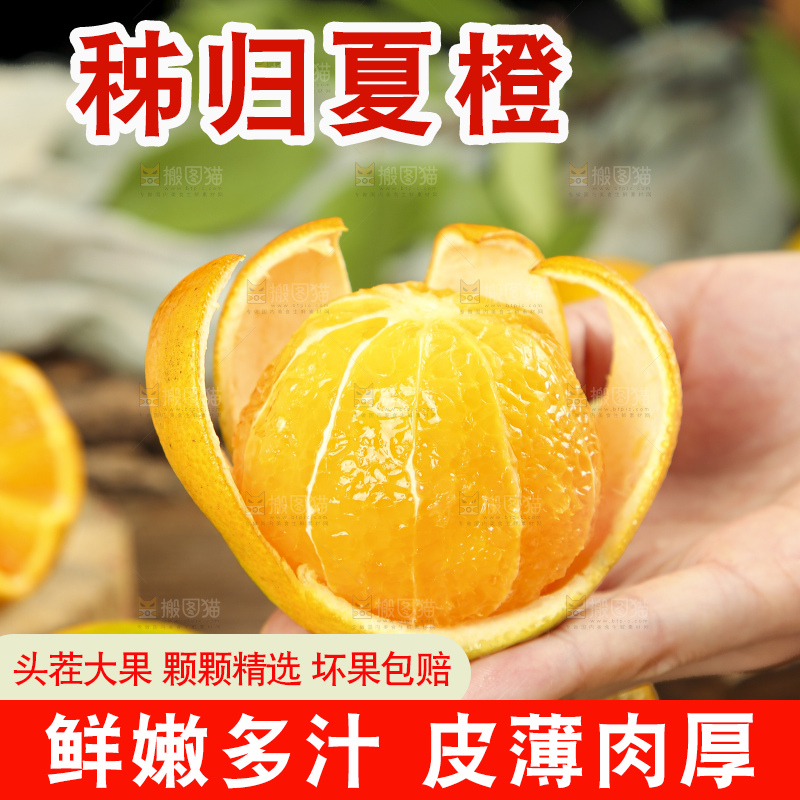 手拿秭归夏橙