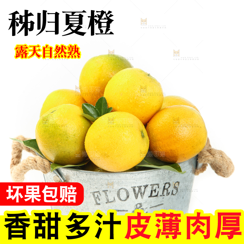 白底上放着一桶夏橙