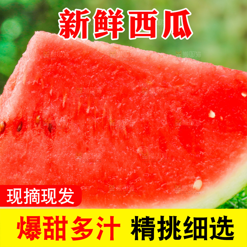 草地上放着红肉西瓜
