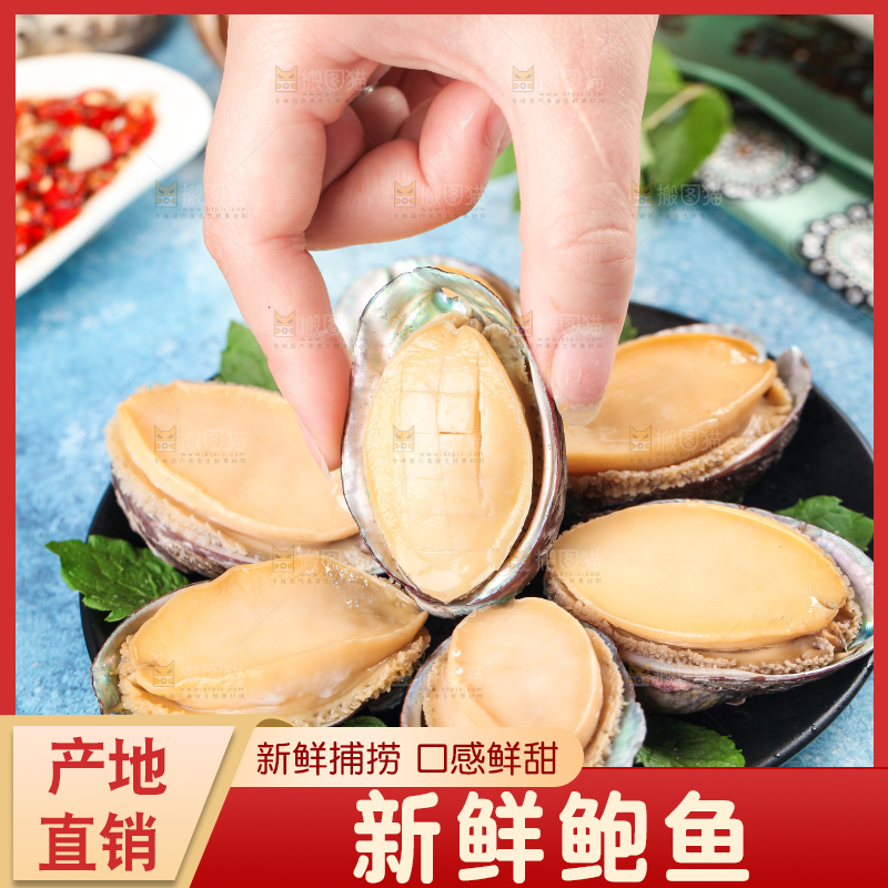 手拿鲍鱼