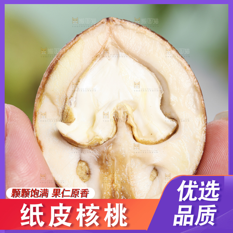 手拿去皮新鲜湿核桃