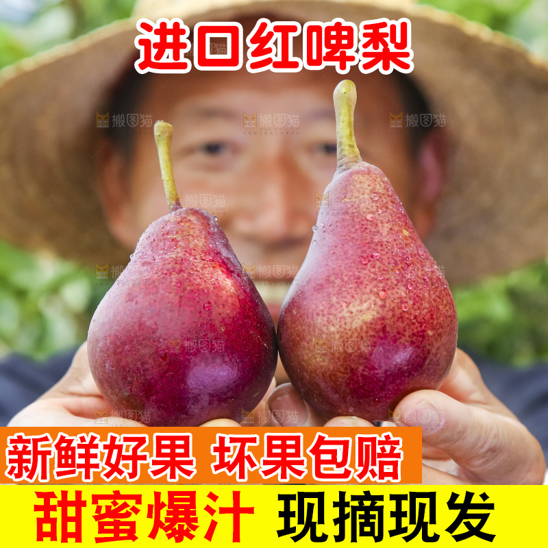 农民手拿红啤梨