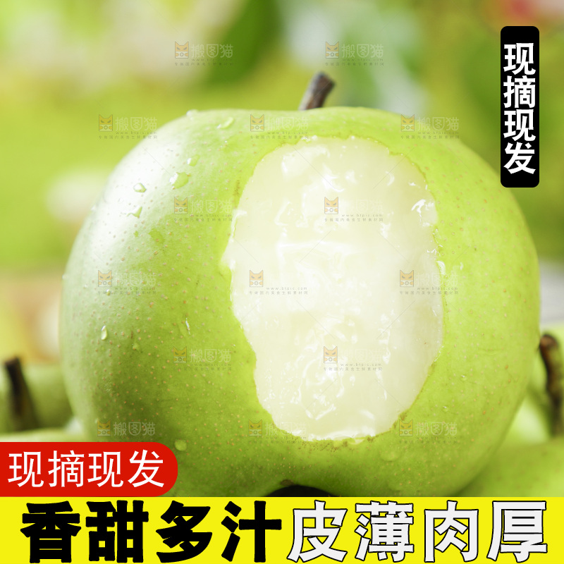 浅底上的砀山苹果梨