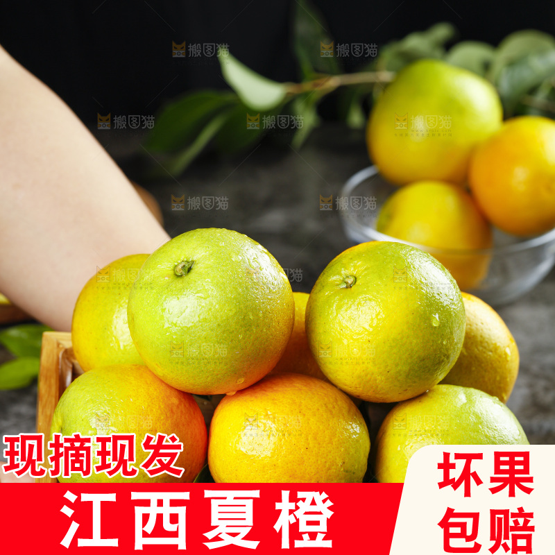 手拿夏橙