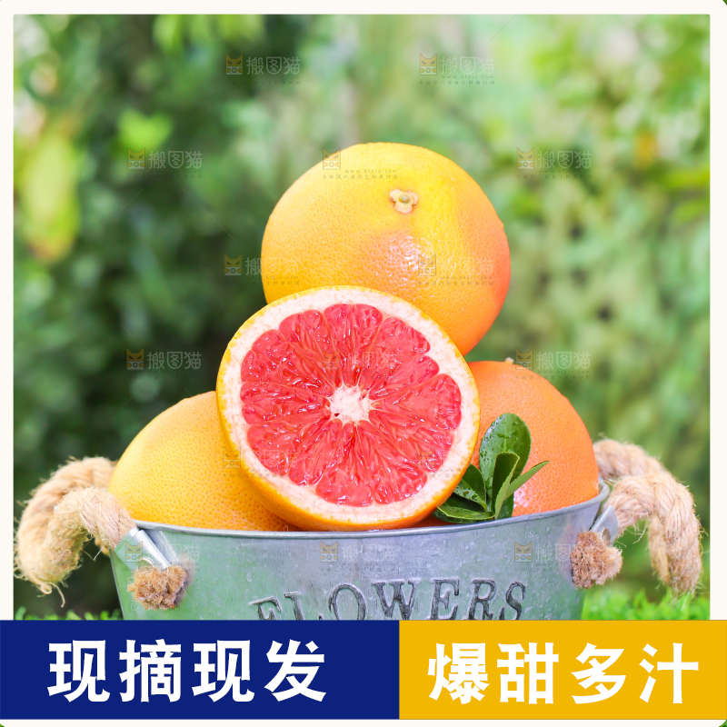 草地上放着一桶切开的红心西柚