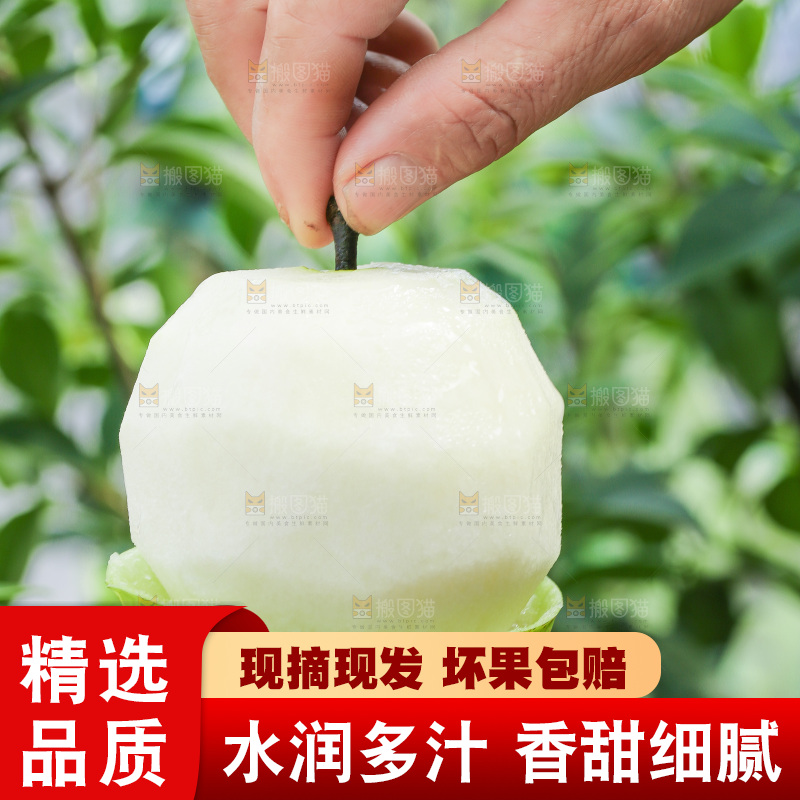 手里拿着削皮的皇冠苹果梨