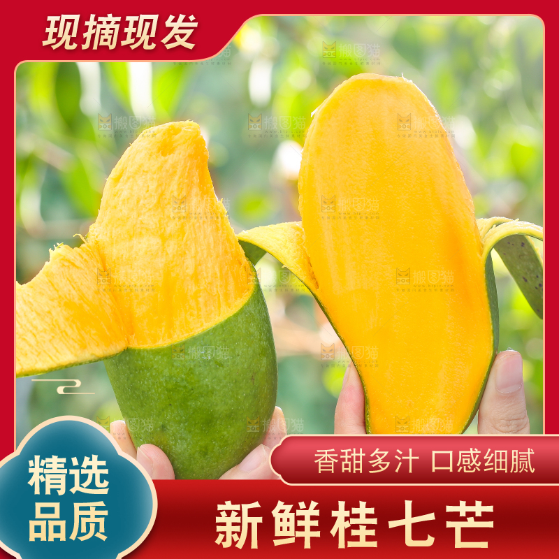 手拿剥皮的田东桂七芒