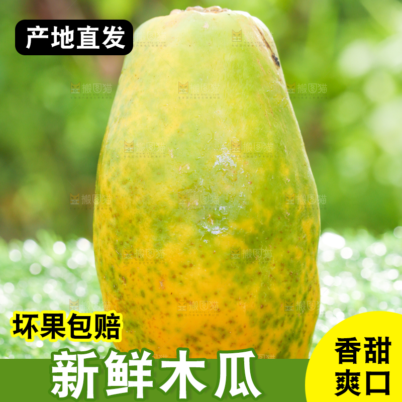 草地上放着木瓜