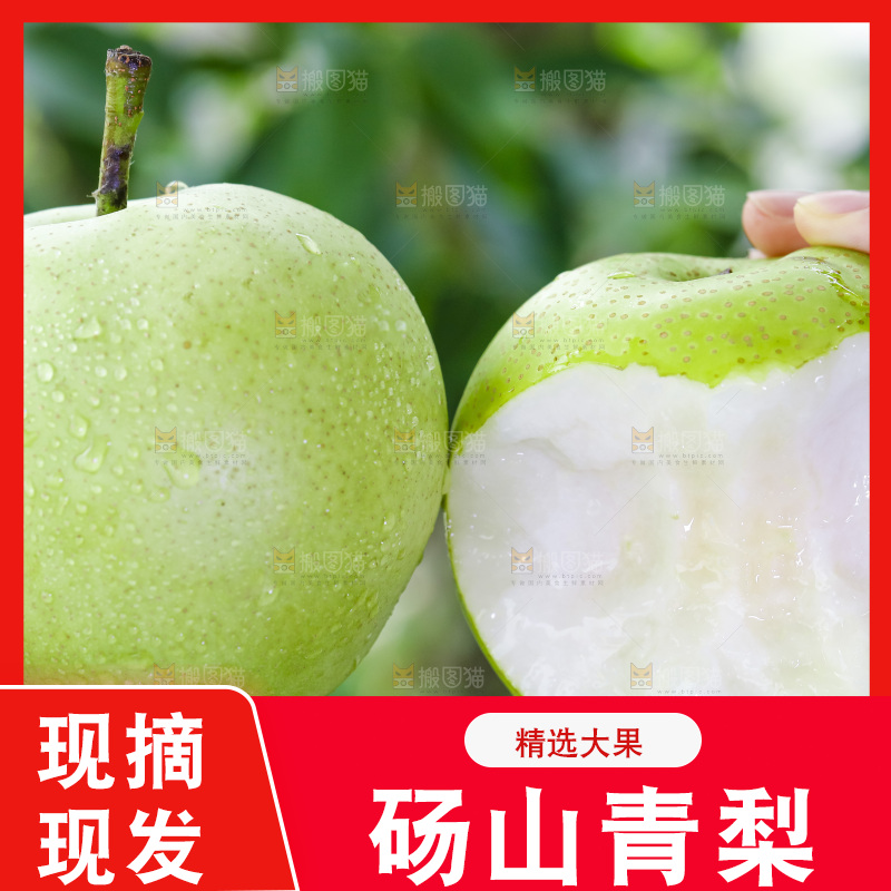 手拿砀山青皮翠冠梨