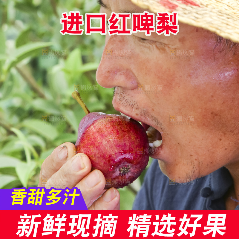 农民正在吃红啤梨