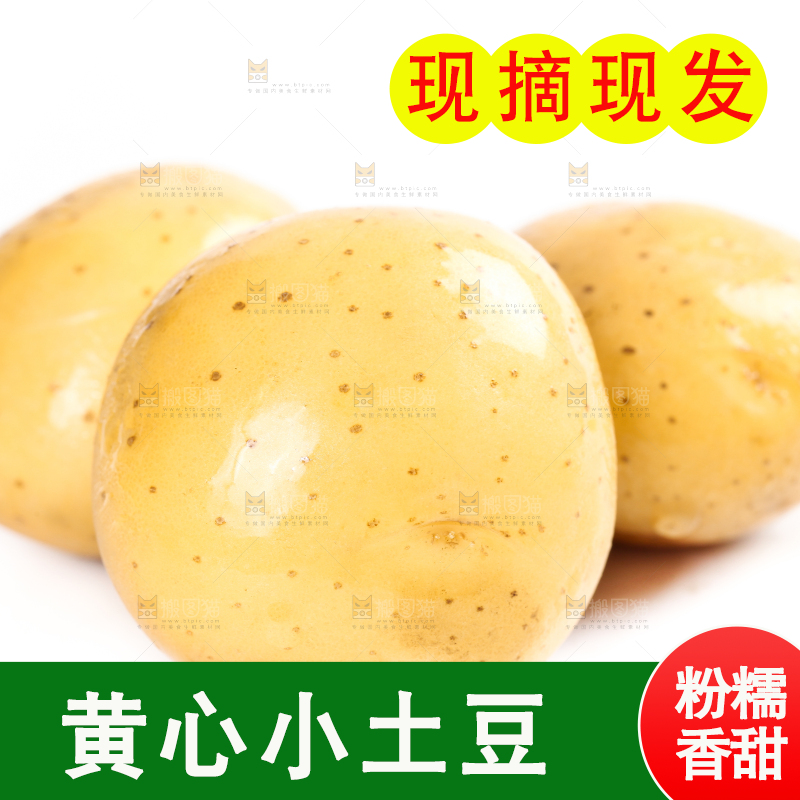 白底上的小土豆
