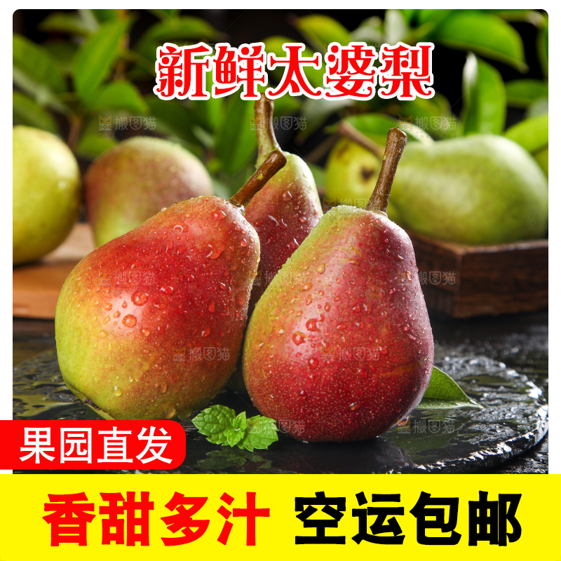 黑石板上的太婆梨