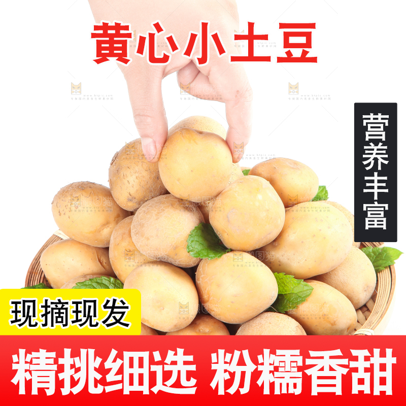 手拿云南小土豆