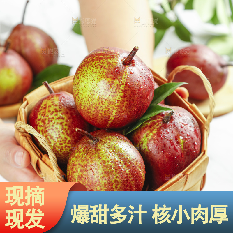 手拿陕西彩虹梨